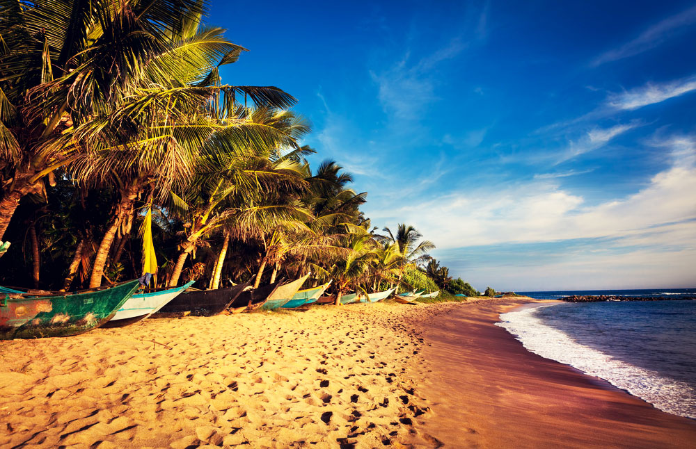 Beach In Ceylon